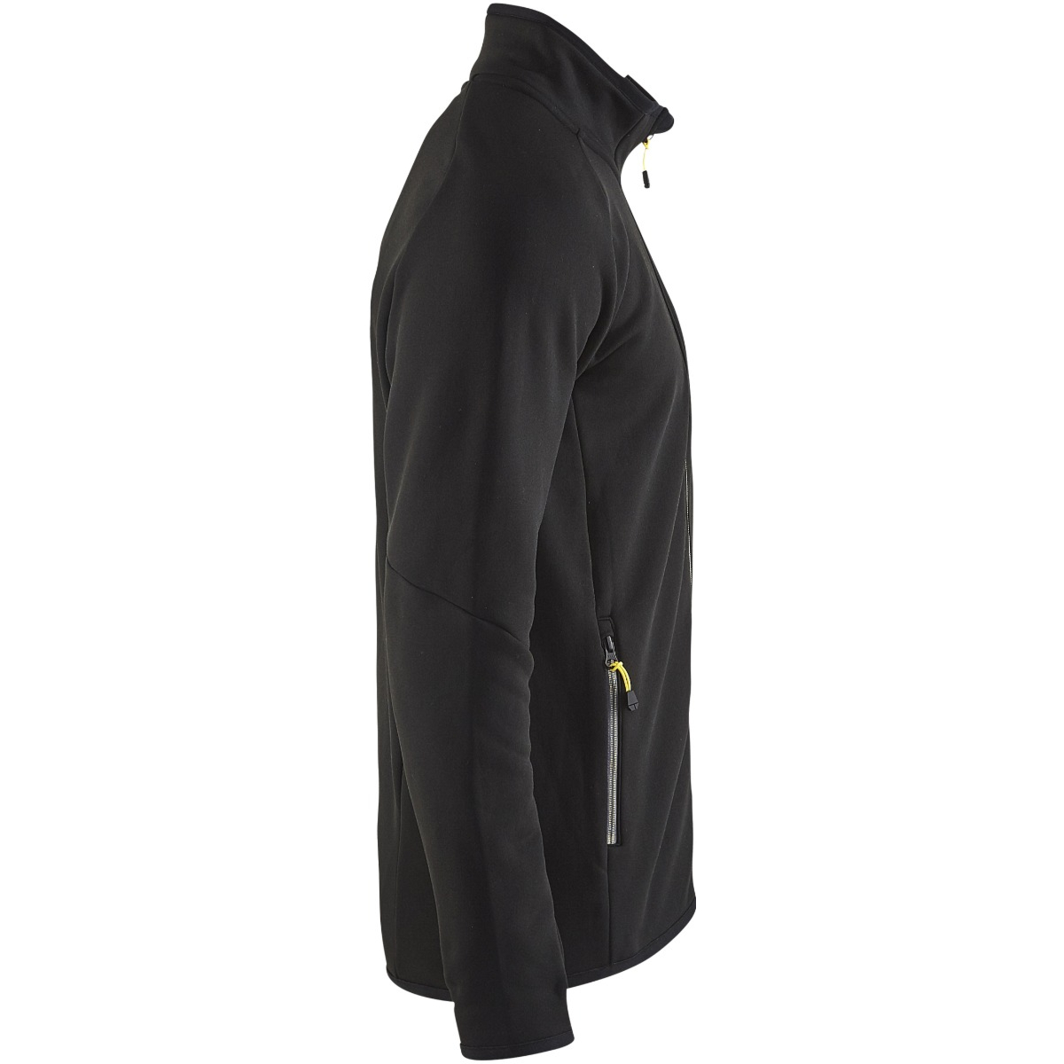 4998 Fleecetakki Evolution